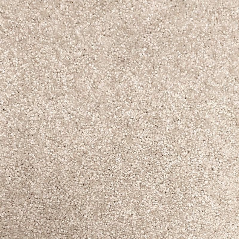 Penny Ecru Carpet sample