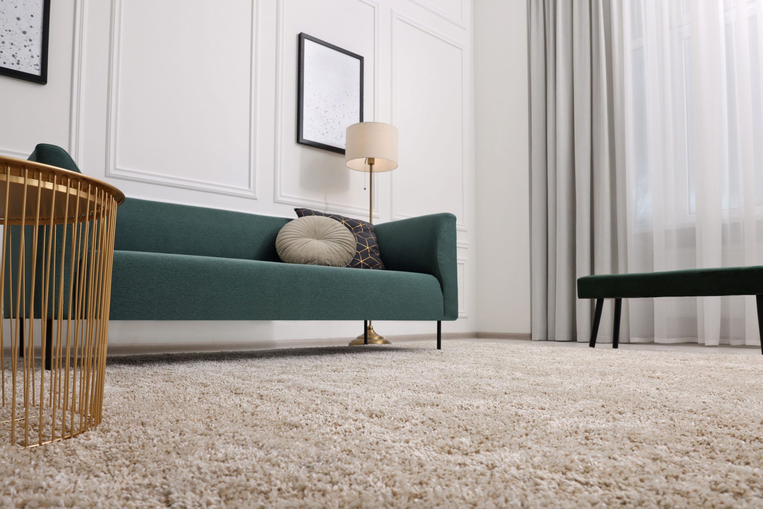 Carpet replacement: Everything you need to know